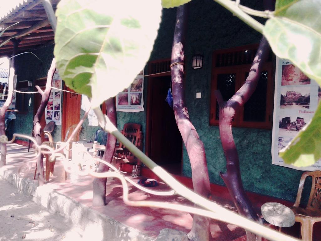 Bluesky Guest House Dambulla Kültér fotó