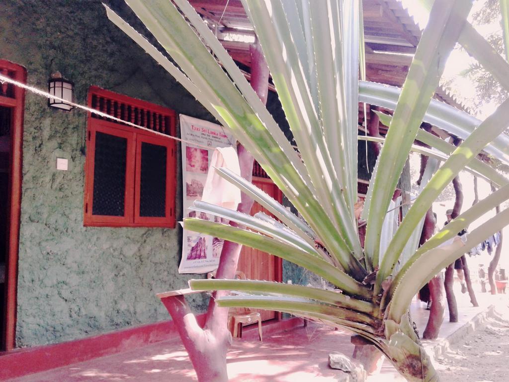 Bluesky Guest House Dambulla Kültér fotó